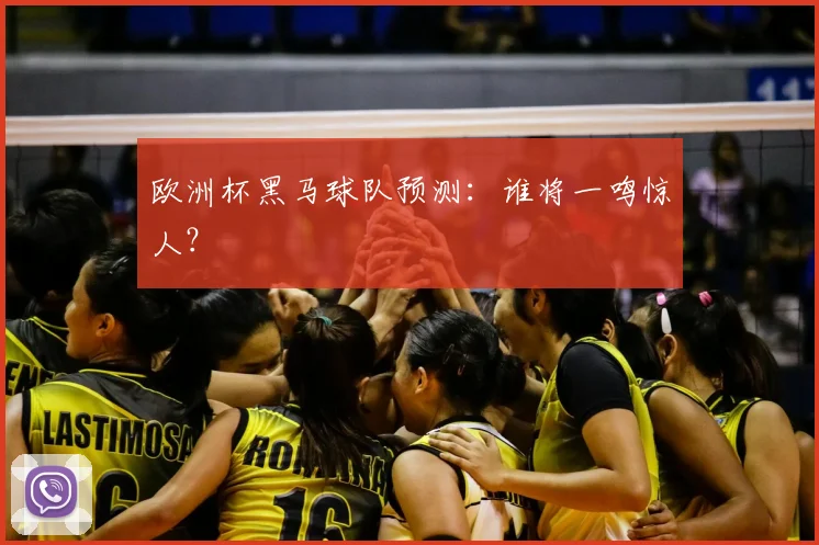 欧洲杯黑马球队预测:谁将一鸣惊人?