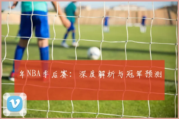 年NBA季后赛：深度解析与冠军预测