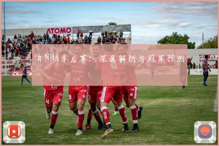 年NBA季后赛：深度解析与冠军预测
